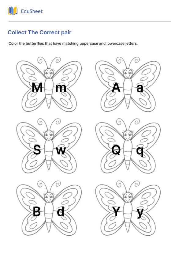 Collect The Correct pair