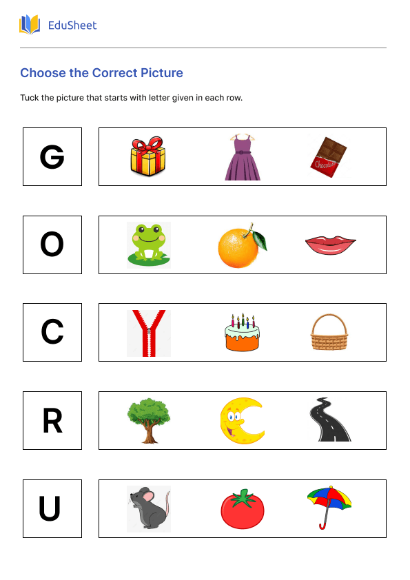 Choose the Correct Picture