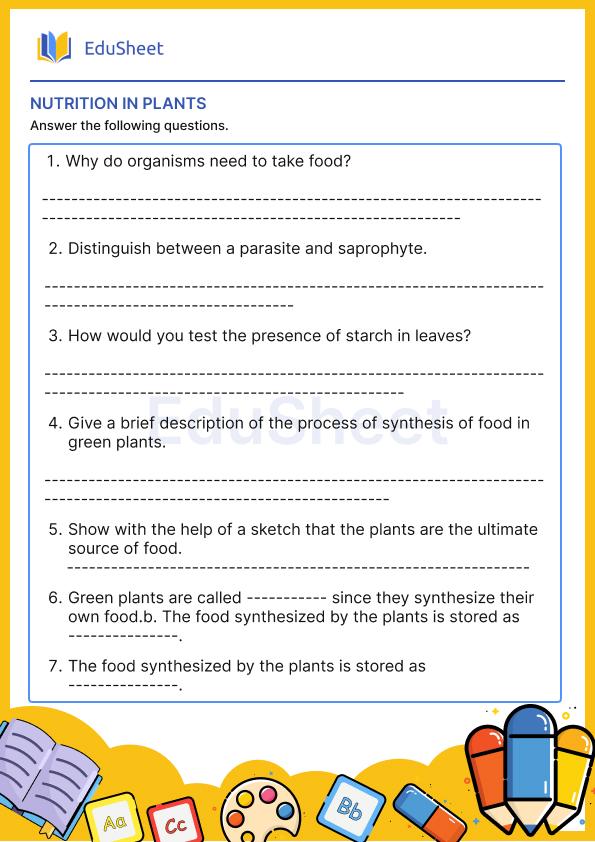 Nutrition in Plants