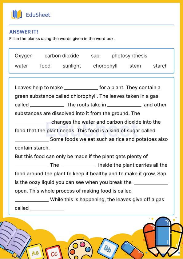 oxygen and carbon di  oxide