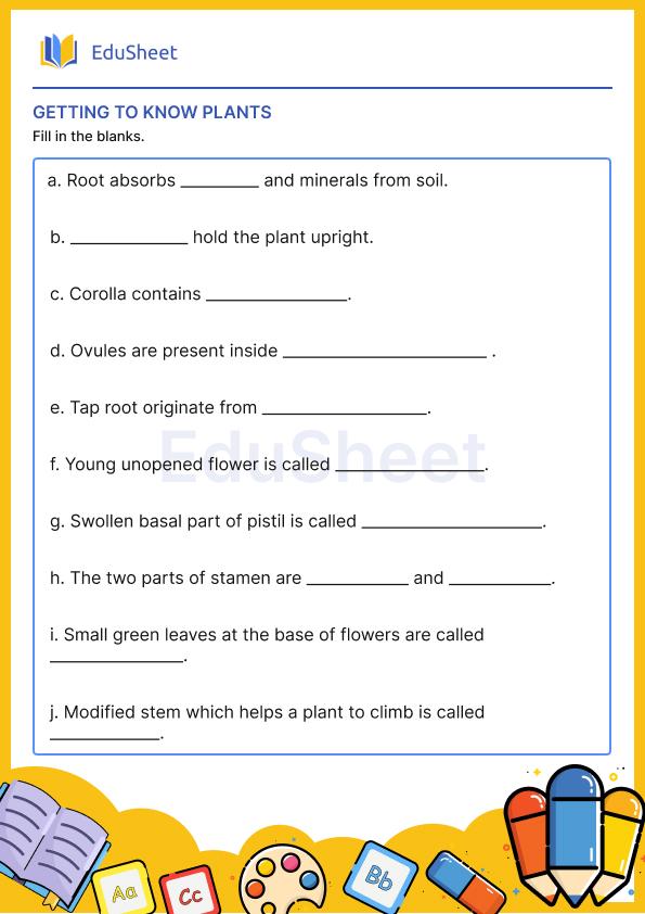 Getting to know plants