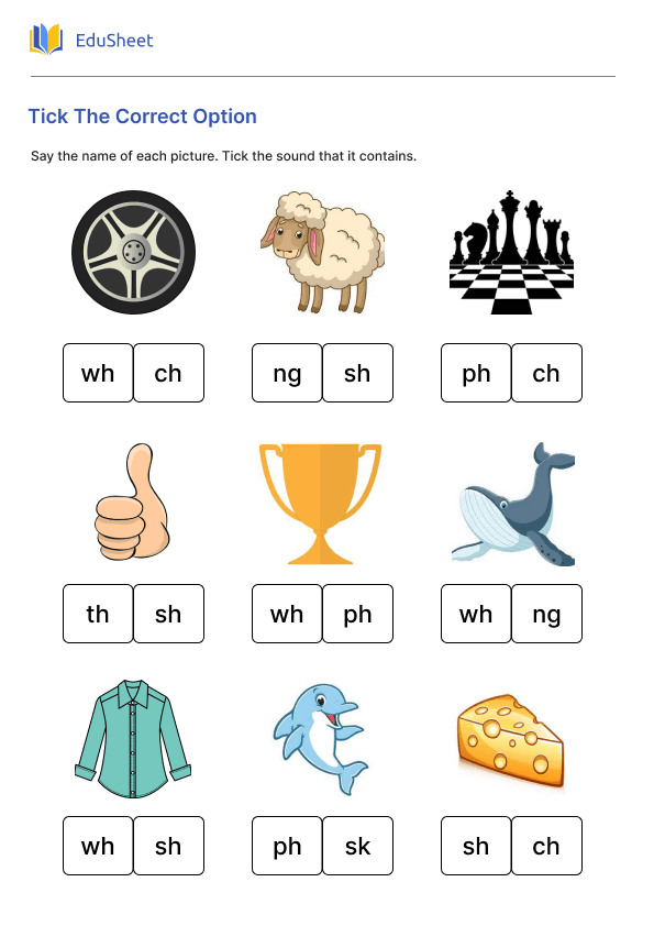 Tick The Correct Option Part 1