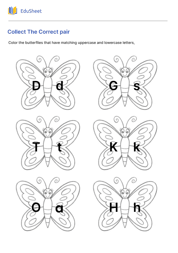 Collect The Correct pair Part 1