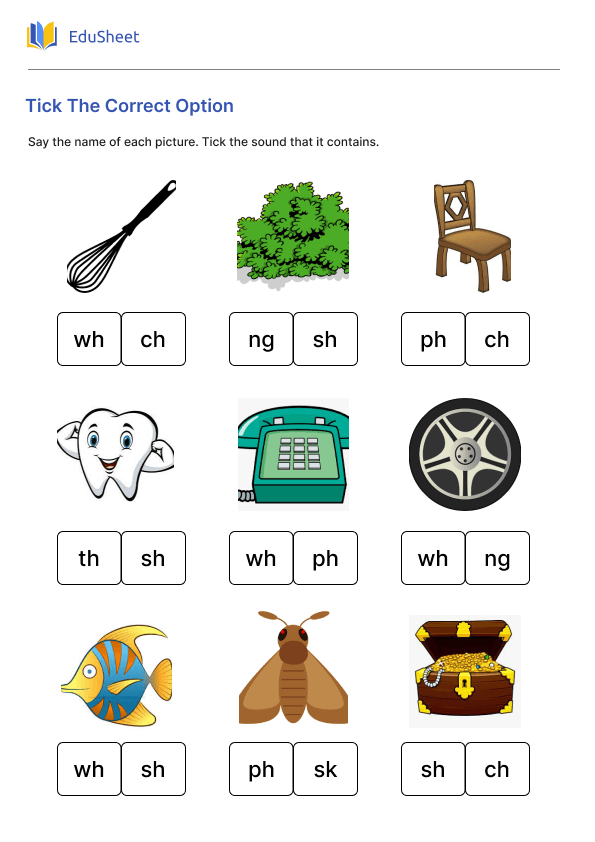 Tick The Correct Option Part 2